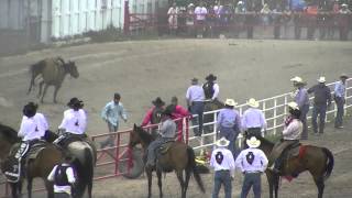 Wild Horse Race Cheyenne Frontier Days [upl. by Eigram]