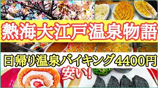 冬の熱海を満喫日帰り温泉とバイキングを楽しむコース【熱海巡り】 [upl. by Meer]