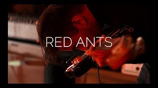 Neufchâtel  Red Ants Live at Deaftone Studios [upl. by Wynne871]