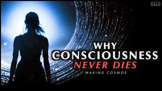 Why Consciousness is Immortal  The Philosophical Proof of Life After Death [upl. by Biernat]