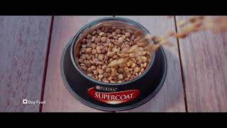 Unleash Their Super with PURINA Supercoat [upl. by Chapman216]