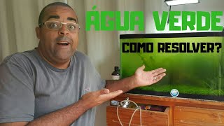 COMO ACABAR COM A ÁGUA VERDE EM AQUÁRIO TRATAMENTO COMPLETO [upl. by Anaerda]