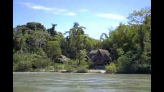 Cotococha Amazon Lodge  Ecuador English [upl. by Eked996]