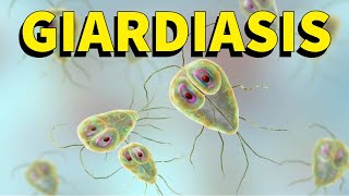 GIARDIASIS CICLO BIOLOGICO EXPLICADO FACIL [upl. by Yul]