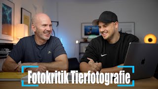 Fotokritik Tiere fotografieren mit Chris Kaula [upl. by Releehw250]