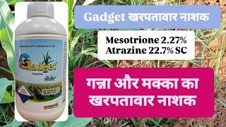 Gadget Herbicide इंडोफिल industries Mesotrione 227Atrazine 227SC [upl. by Nalced]