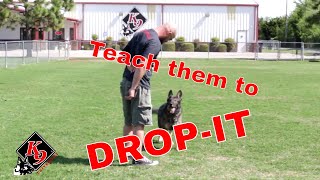 Teach your dog to quotdropitquot in ONE easy step [upl. by Atinas]