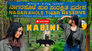 KABINI forest safari 🐯🦁ಕಬಿನಿ ಅರಣ್ಯ ಸಫಾರಿ complete guide  time  💰booking  ಕನ್ನಡ [upl. by Eiznil45]