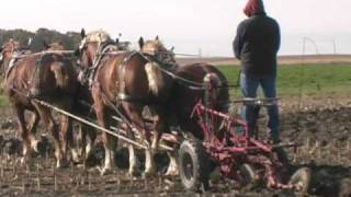 Great Lakes International Draft Horse Show amp Pull [upl. by Danyette264]