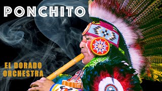 Ponchito  El Dorado Orchestra 🇵🇪🦅Native American indian instrumental music [upl. by Lindsey276]