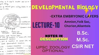 Extra Embryonic Membranes  UPSC  BSc  MSc  Notes in description [upl. by Balfour]