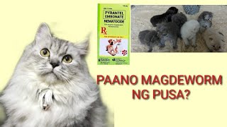 PAANO MAGDEWORM NG PUSANEMATOCIDE [upl. by Aliac]