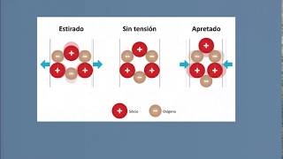 Sensores Piezoelectricos [upl. by Orecic]