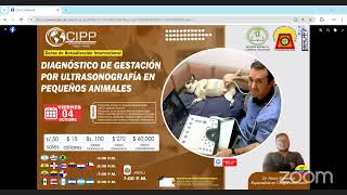 DIPLOMADO EN ULTRASONOGRAFÍA DE CANINOS Y FELINOS CURSODIAGNÓSTICO DE GESTACIÓN POR ULTRASONOGRAFÍ [upl. by Fishbein]