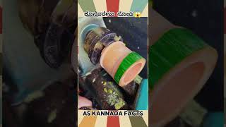 China Bamboo Cup Making Fact  kannada facts karnataka amazing youtubeshorts trendingshorts [upl. by Elcin]