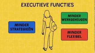 Autisme Wat zijn Executieve functies [upl. by Lertsek]