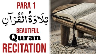 para 1  full quran recitation  juz 1 complete  quran recitation beautiful  islamic world 177 [upl. by Atiseret]