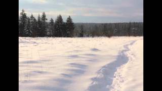 Promenade en hautes fagnes [upl. by Davidoff]