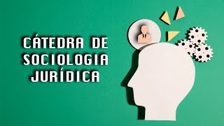 Cátedra de Sociologia Jurídica  Aula 37 O direito como um saber de especialistas [upl. by Manuela]