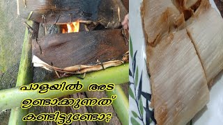 പാള അട  Pala Ada Arecanut Leaf RecipePaala AdaMalabar Recipe Onam Special Recipe [upl. by Sudnac]