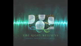 Feb Full Moon Reiki Infused Manifesting Quartz Crystal Sound Bowl Session [upl. by Nilhtac]