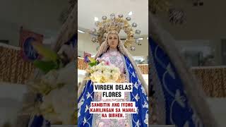 Virgen Delas Flores 🙏🏽🌹 pray for us [upl. by Powder225]