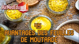 45 Avantages des Feuilles de Moutarde [upl. by Gnex]