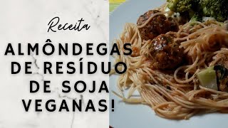 Almôndegas de Resíduo de Soja Assadas  Veganas [upl. by Verneuil]