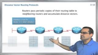 Dynamic Routing [upl. by Danete29]