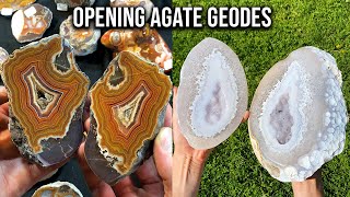 Opening 10 Different Agate Geodes amp Nodules [upl. by Ylehsa716]