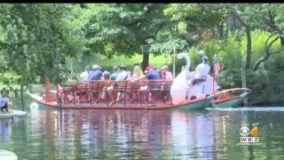 Historic Boston Swan Boats Have Been Operated By One Family For 145 Years [upl. by Audette380]