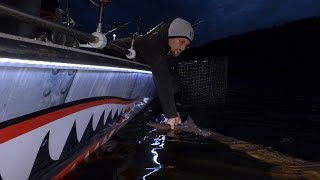 Bottom Fishing for GIANT Fish  Fishing in the DARK [upl. by Carlye999]