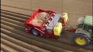 Grimme GL430 www keller technik [upl. by Sair]