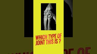 Joints in bones  Condyloid joint  Wrist Joint  Human skeletal system biology ncert bones [upl. by Raamal113]