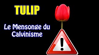 QuestionRéponse 5  Calvinisme Doctrine du diable  TULIP Debunké avec la Bible [upl. by Fayina]