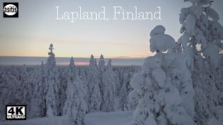 Snowy Frozen Trees and Crunchy Snow  Relaxing Walk [upl. by Barbabra]