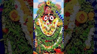 Jagannath Swami Nayana Patha gami bhag ⭕❗⭕👏🏵️🌺🚩69242000 song [upl. by Pallua]