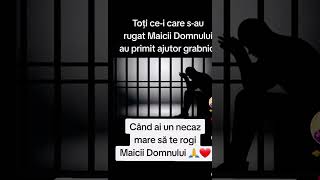 maica domnului  fecioara maria sfanta fecioara Maria prea sfanta nascatoare de Dumnezeu ❤️❤️❤️ [upl. by Ardnekal]