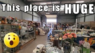 I Found Some Shocking Treasures  Shop with Me thrifting shopwithme reseller [upl. by Darelle206]