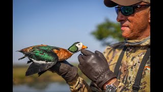 LIFES SHORT GETDUCKS REAL SOUTH AFRICA WINGSHOOTING SAFARI [upl. by Tnek]