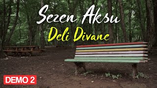 Sezen Aksu  Deli Divane Official Video [upl. by Gyatt436]