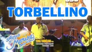 TORBELLINO  AGUA MARINA 2016 [upl. by Sirac]