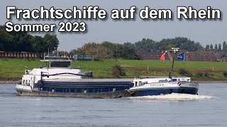 Frachtschiffe auf dem Rhein  Binnenschifffahrt  Sommer 2023 [upl. by Ozan]