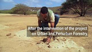 Urban and Periurban Forestry in São Francisco Cabo Verde [upl. by Merari]