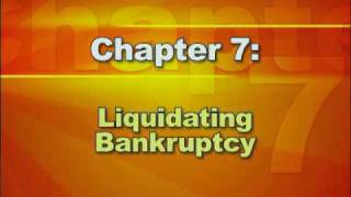 Bankruptcy Basics  Part 2 Types of Bankruptcy [upl. by Ahsimot]