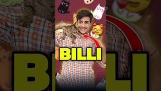 Billi Ka Baccha Aa Gaya 😨😨  Mini Vlog shorts minivlog ashortaday vlog tranding cat [upl. by Cohlier]