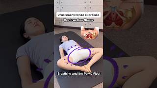 Urge Incontinence Exercises 절박성요실금 운동법 2가지 절박성요실금 urinaryincontinence 피지오라이프 [upl. by Aicilef743]