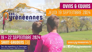 Les Pyrénéennes 2024  Ring 4  ovinséquins 19092024 [upl. by Zeeba330]