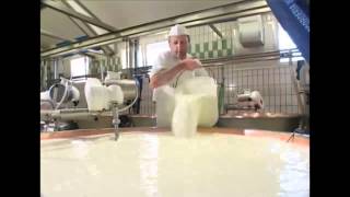 Come si fa il formaggio Asiago Tutte le risposte in questo video [upl. by Clayberg]