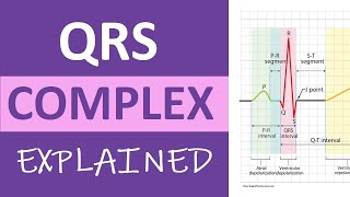 QRS Complex ECG Interpretation amp Measurement Explained  ECG Nursing ACLS NCLEX [upl. by Bolte]